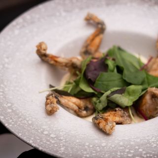 Жаб'ячі лапки