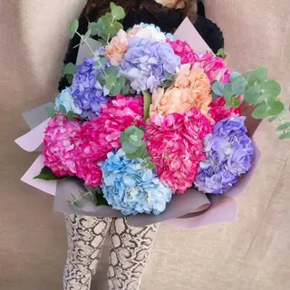 Buchet 15 Hortensii 