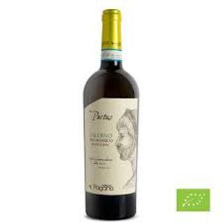Falerno del Massico DOC Bianco
