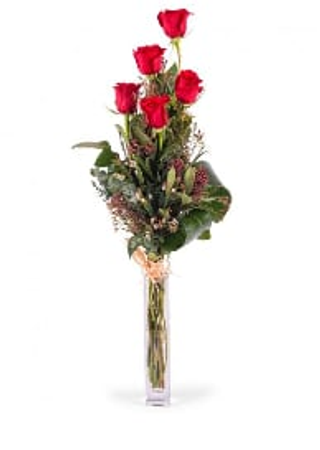 5 Rosas  roja Preparadas