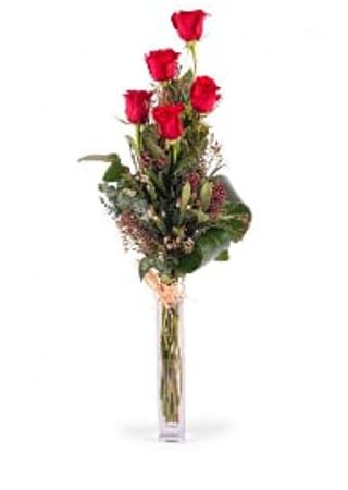 5 Rosas  roja Preparadas