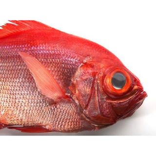 Virrey de costa gallego piezas 1-1,3 kg aprox