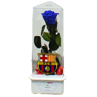 ETERNITY BARCELONA AZUL 1,51