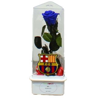 ETERNITY BARCELONA AZUL 1,51