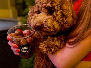 Полуниця в бельгійському шоколаді (265g)