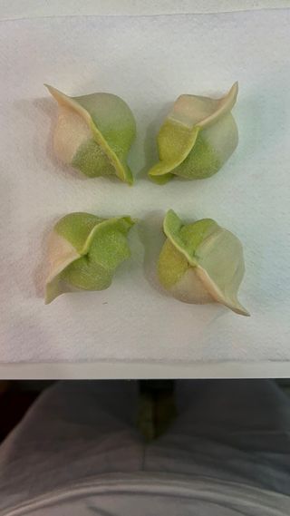 Ravioli mix - 5 pezzi 