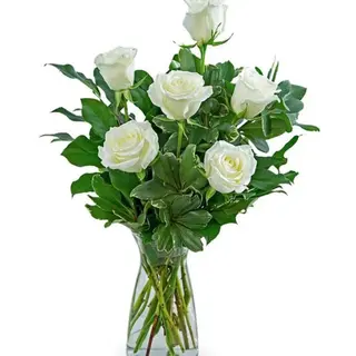 6 rose