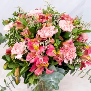 Clavel y Astromelia Rosa