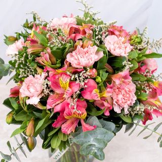 Nuit d'été - Clavel y Astromelia Rosa