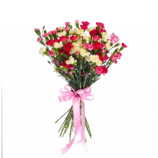 Bukiet kolorowych Goździków 