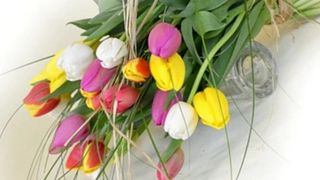 Eko bukiet tulipanów