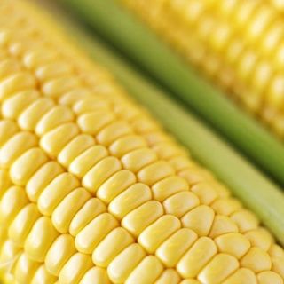 Maíz a las brasas (1 mazorca)