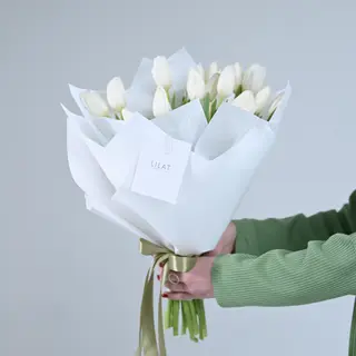 19 თეთრი ტიტა 