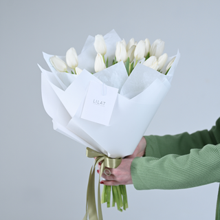 19 თეთრი ტიტა 