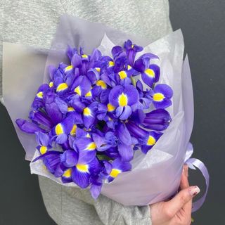 Букет із 15 фіолетових ірисів