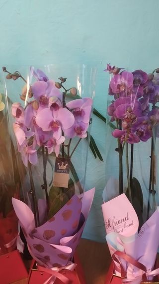 Aranjament orhidee regală