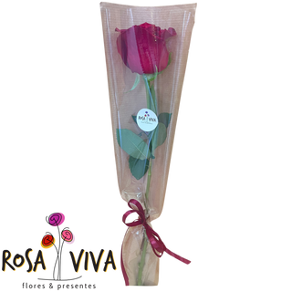 Arranjo de 1 Rosa no Pacote