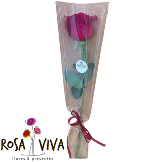 Arranjo de 1 Rosa no Pacote