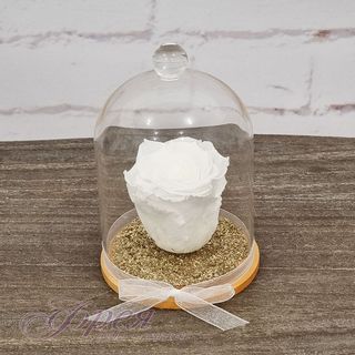 Вечна роза - бял цвят със златист пясък съд с топка