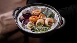 Ескарго-равлик мікс (6 шт.)