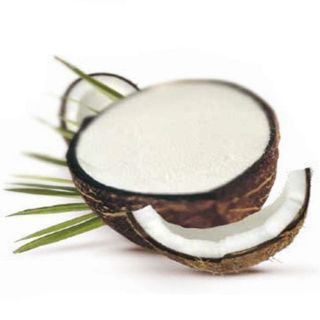 Cocco ripieno 