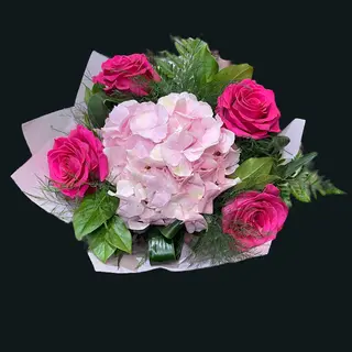 Ciclam&Pink