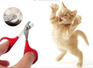 Когтерез ножницы