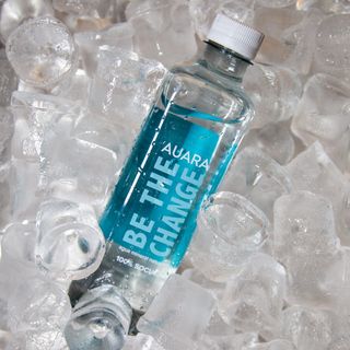 Agua ( 500 Ml.)