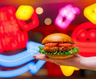 CHICKEN CRUSH (D)
