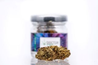 10HC Doctor CBD 10GR