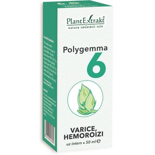 Polygemma nr. 6 - Varice, Hemoroizi