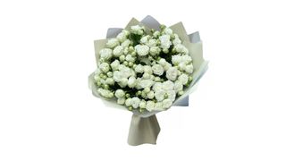 White Harmony