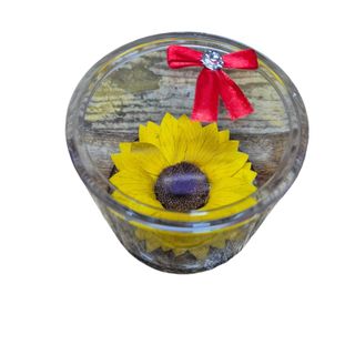 Girasole stabilizzato