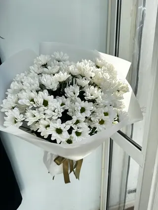 Поляна Хризантем м