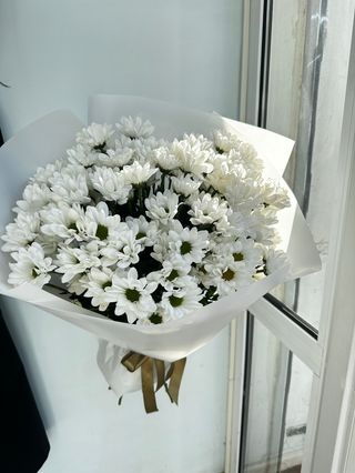 Поляна Хризантем м