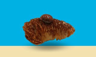 Coda d'Aragosta al Cioccolato