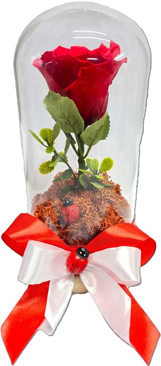 '’Amintire eterna!‘’trandafir criogenat Rosu in Cupola de 20 cm ( facut manual )