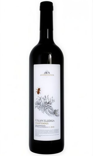 Falanghina - Contrada Salandra