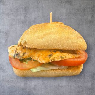 Café + Pulga de pollo