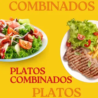 Plato De Pollo O Ternera o alitas de pollo