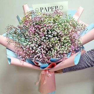 ფერადი გიფსოფილიების თაიგული 