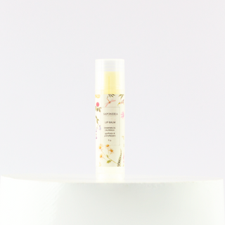 გვირილა და კალენდულა