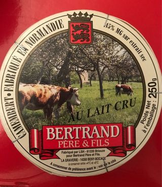 [FR] Camembert au lait cru 250 g