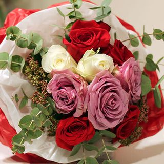 Tri boje ruža XXL. 25 ruža