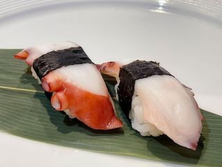 Nigiri polpo
