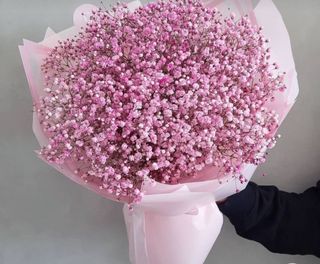 თაიგული 4