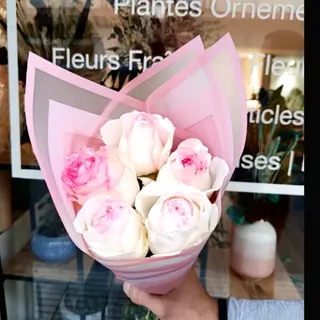 5 Premium Bordées Roses