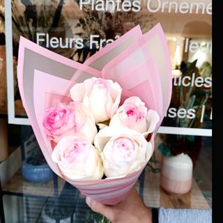 5 Premium Bordées Roses