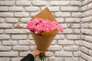 ვარდისფერი დიანტუსი 20 ტოტი