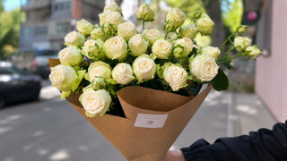 Champagne Bloom